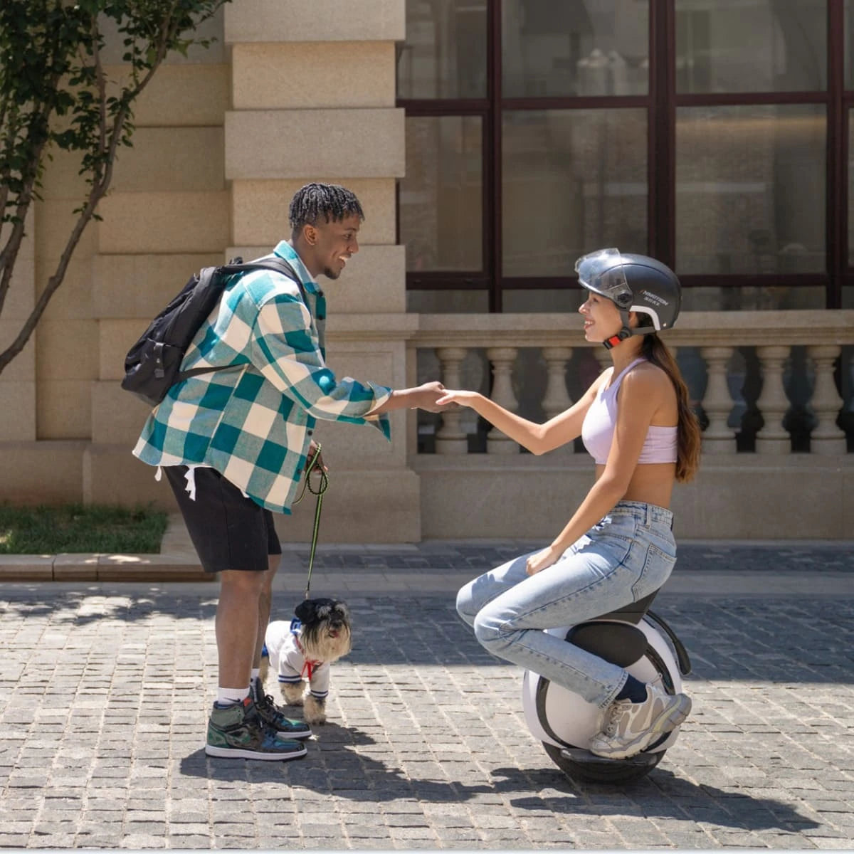 Inmotion E20 Electric Unicycle