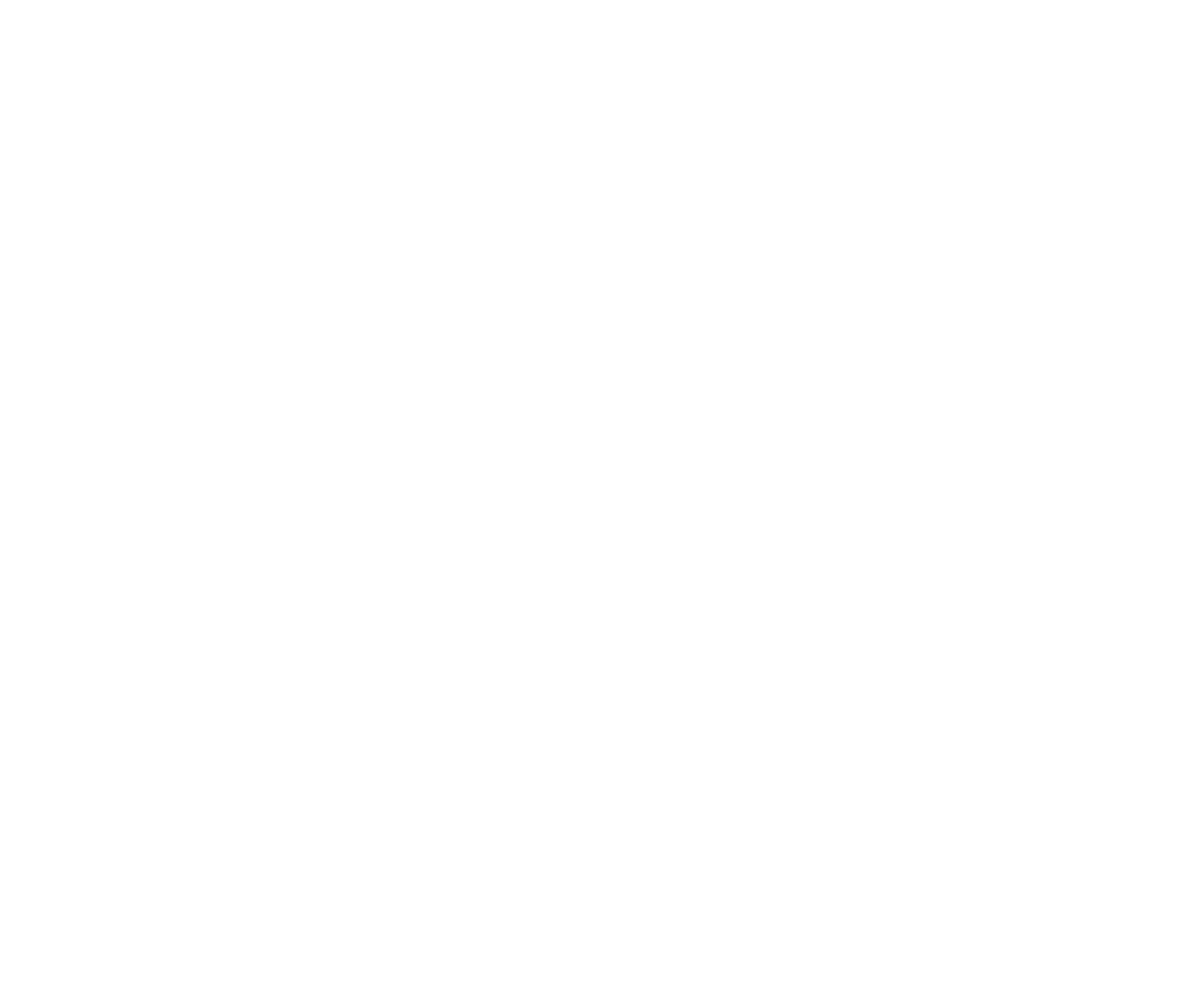 Iroll - Electric Rides